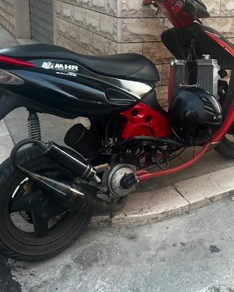 roost sp1
