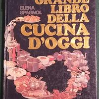 Il grande libro della cucina d'oggi