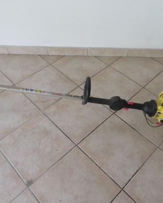 Decespugliatore  a scoppio / taglia bordi