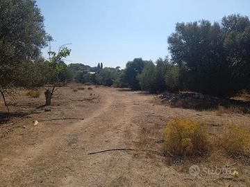Terreno agricolo