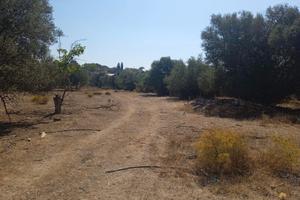 Terreno agricolo