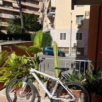 Bici mountain bike - Ciclopiave