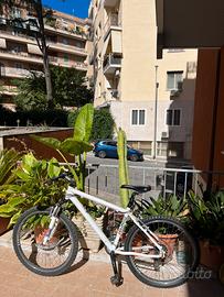 Bici mountain bike - Ciclopiave