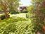 Immagine 16