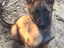 Immagine 5