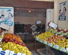 NEGOZIO A LADISPOLI