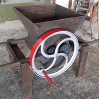 Splendida pigiatrice anctica