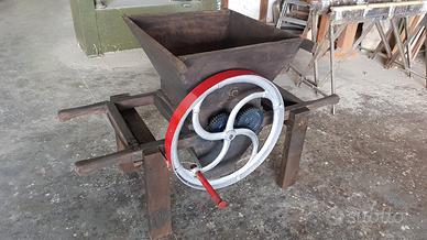 Splendida pigiatrice anctica