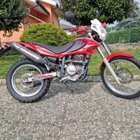 Beta Alp 4.0 - Affidabile ed essenziale