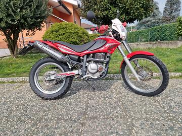 Beta Alp 4.0 - Affidabile ed essenziale