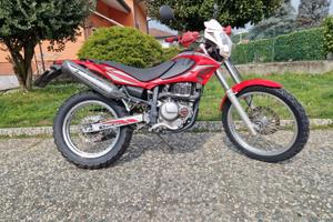 Beta Alp 4.0 - Affidabile ed essenziale