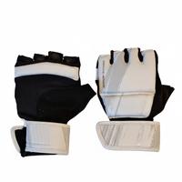 Guanti mma/taekwondo