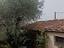 Immagine 19