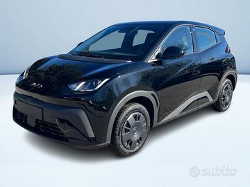 BYD Dolphin Surf Active