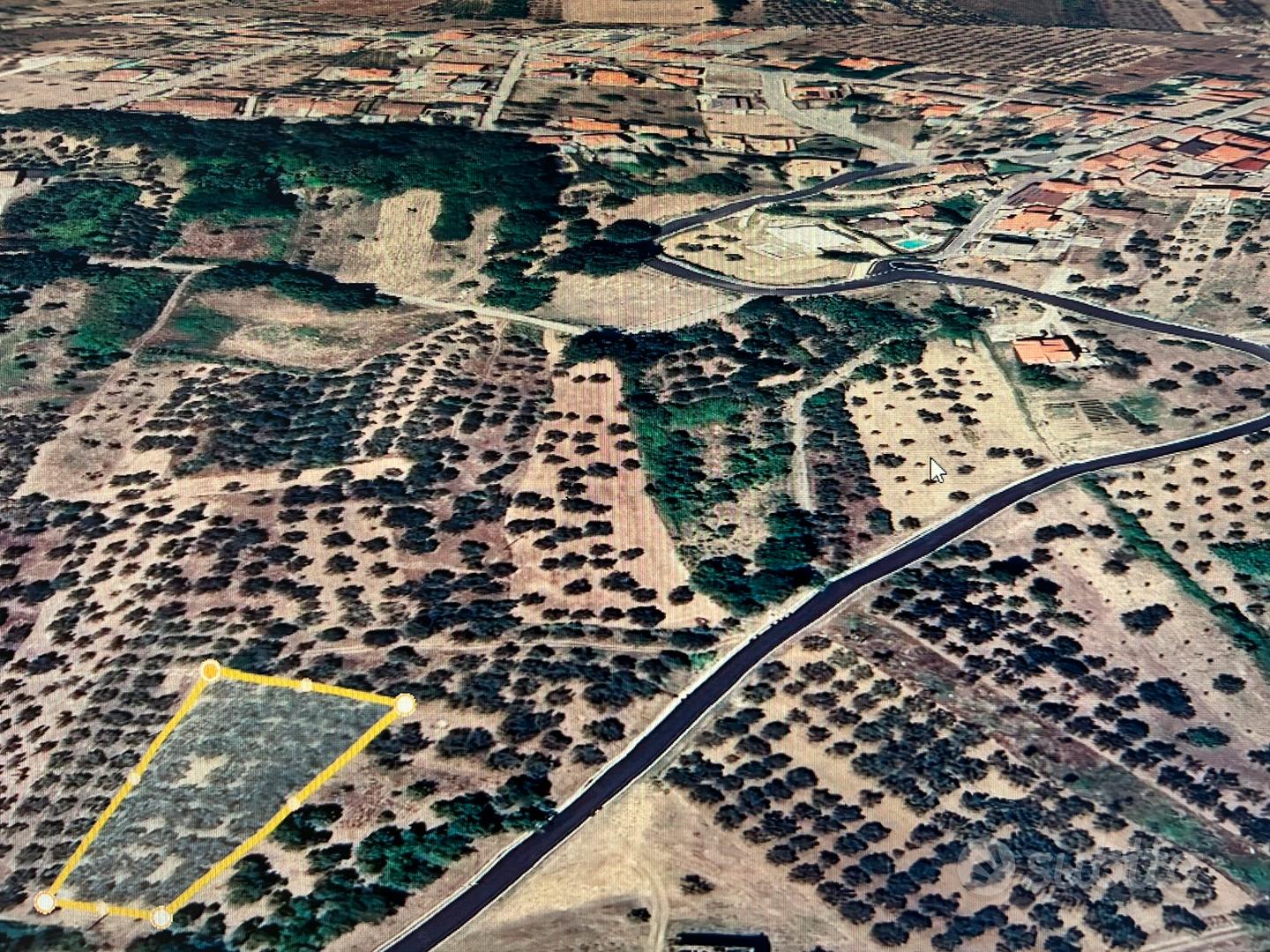 Terreno a uliveto - Vista 2