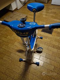 Bicicletta da camera