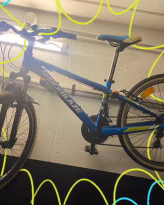 Mtb 24”