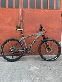 Bici focus taglia s