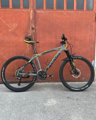 Bici focus taglia s