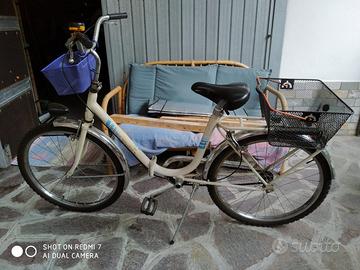 Bicicletta vintage