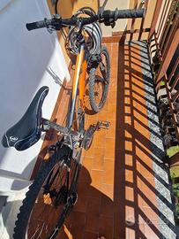mountain bike sport