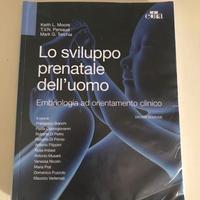 Lo sviluppo prenatale dell'uomo