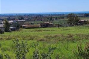 Terreno agricolo