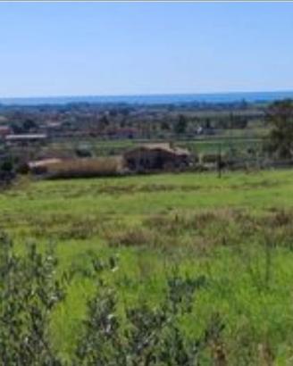 Terreno agricolo