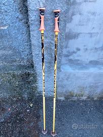 Bastoncini sci alpino