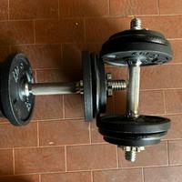 Pesi palestra 2 manubri 28 mm con pesi