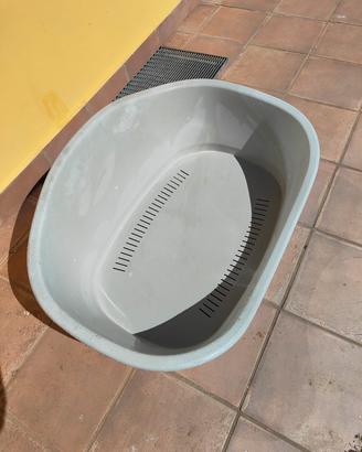 cuccia plastica XXL, guinzaglio e striglia 