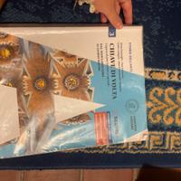 Libro di storia dell’arte superiori