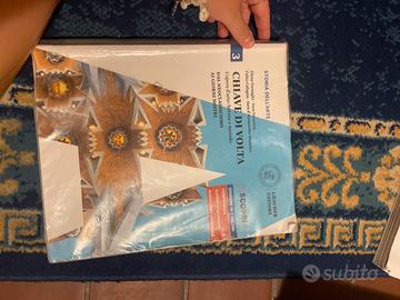 Libro di storia dell’arte superiori