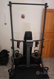 rack calisthenics Eric flag 