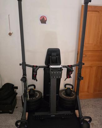 rack calisthenics Eric flag 