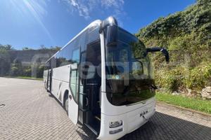 Man Lion's Coach, 2015, 55 posti, Euro 6