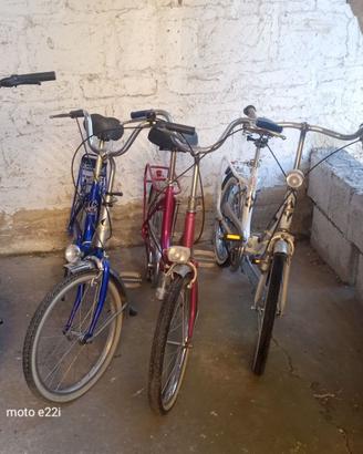 Bicicletta pieghevole