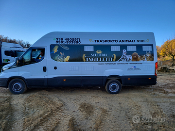 Trasporti animali domestici