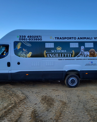 Trasporti animali domestici