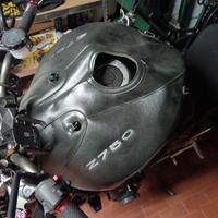 coprimoto invernale Z50