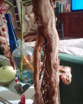 LEGNO DI MARE 