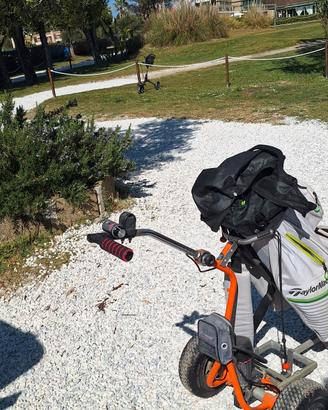 carrello Elettrico Golf