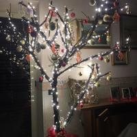 Albero di Natale naturale vero con rami