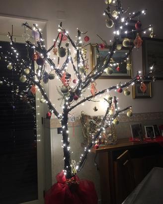 Albero di Natale naturale vero con rami