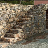 Muri di pietra