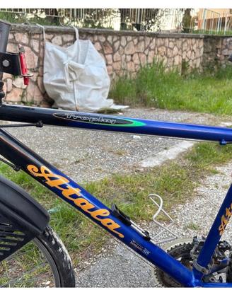 Bicicletta Atalanta uomo