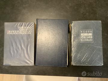 N. 3 dizionari + libri vari