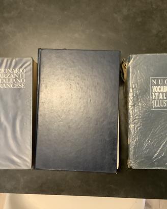 N. 3 dizionari + libri vari