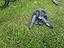 Immagine 5
