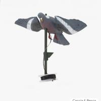 stampi colombacci ali girevoli